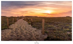 Près de Guérande (France)