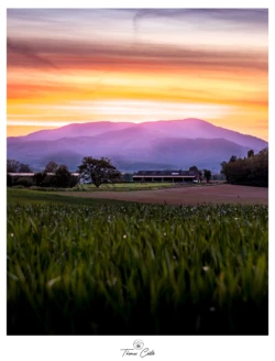 Coucher de soleil près d'Aspach-Michelbach (Haut-Rhin)