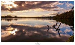 Miroir sur le plan d'eau de Burnhaupt (Haut-Rhin)