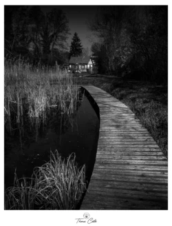 La petite Camargue alsacienne