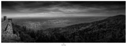 La plaine de Colmar depuis le château du Hohlandsbourg