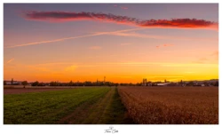 Coucher de soleil à Uffholtz (Haut-Rhin)