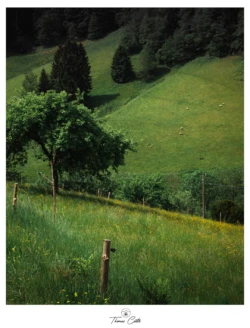 Randonnée en Forêt-Noire (Allemagne)