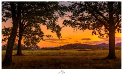 Coucher de soleil sur le plateau de la Loh (Haut-Rhin)