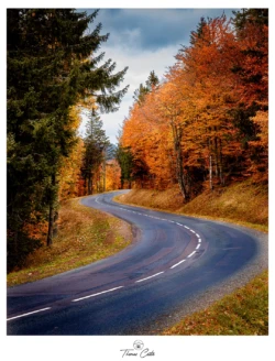 Couleurs d'automne sur le Massif des Vosges