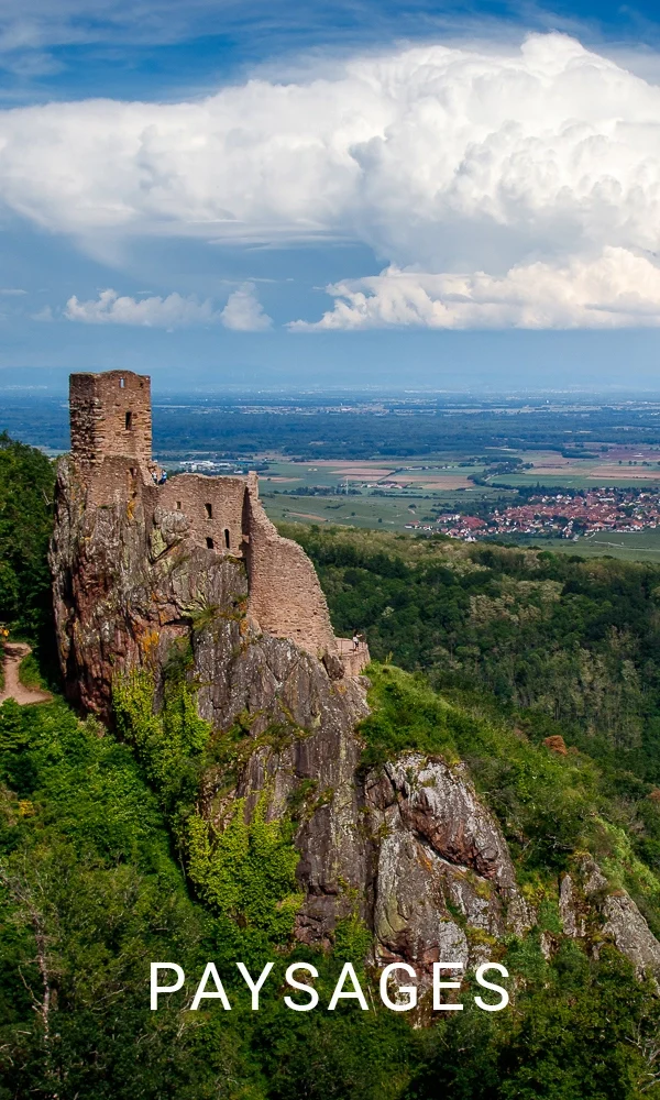 Couverture de l'album Paysages