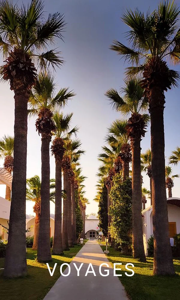 Couverture de l'album Voyages